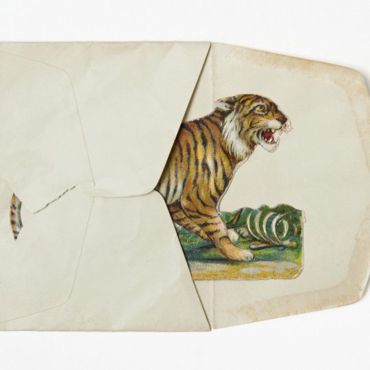 Geöffneter alter Papierumschlag mit einer farbigen Illustration eines fauchenden Tigers neben einem Knochen auf hellem Hintergrund.